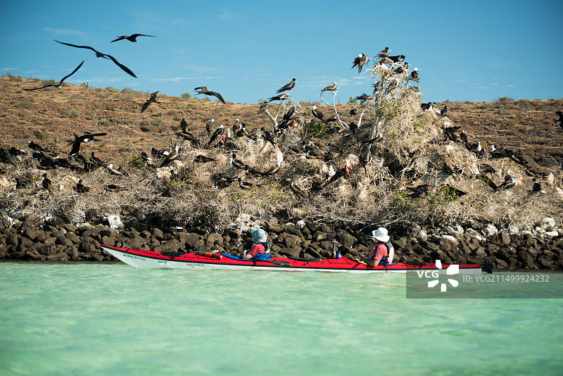 墨西哥拉 paz 岛皮划艇之旅图片素材