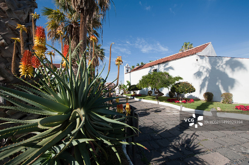 加那利群岛特内里费岛克鲁斯港图片素材