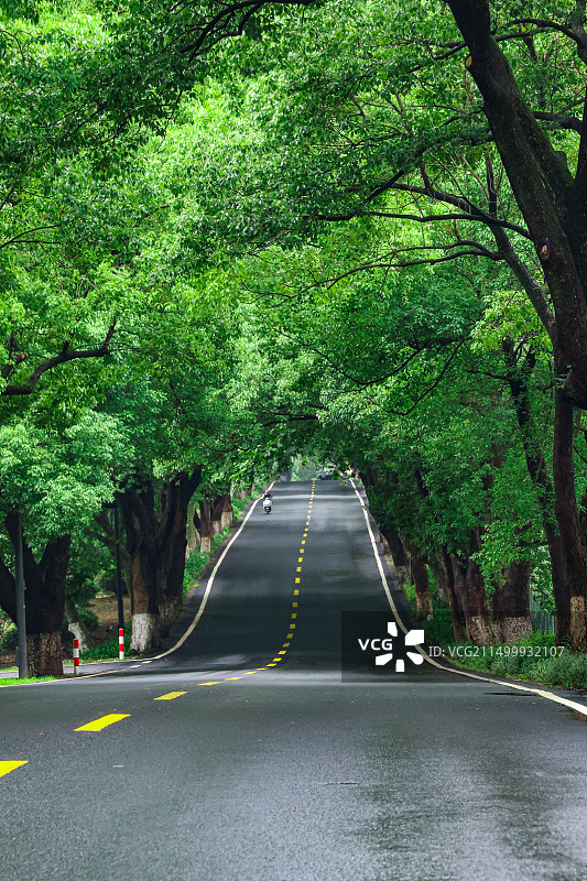 张灵慕线公路图片素材