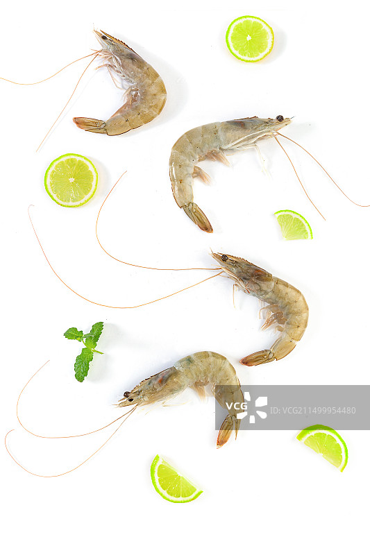 新鲜海白虾生鲜食材图片素材