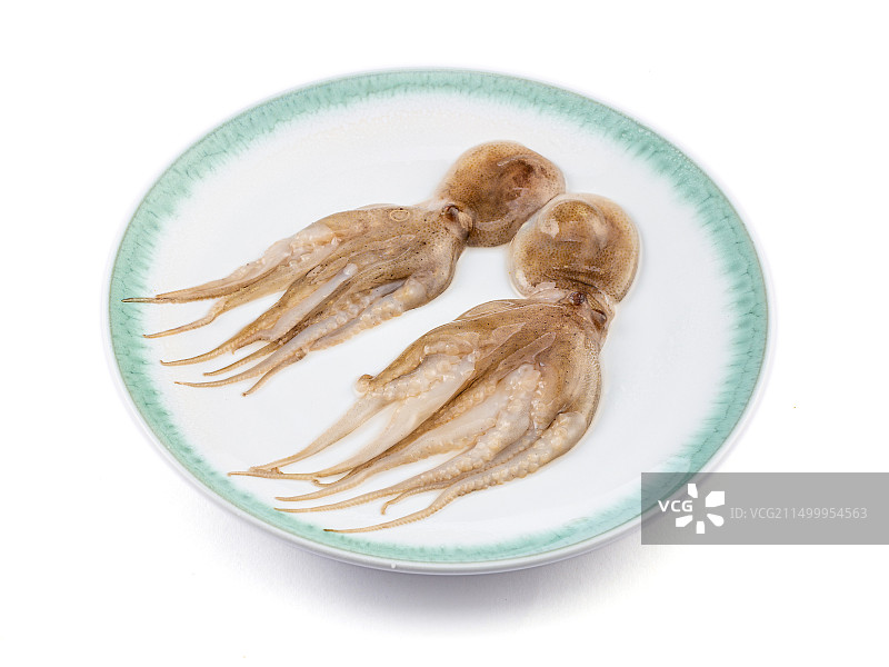 生鲜食材：小章鱼八爪鱼图片素材