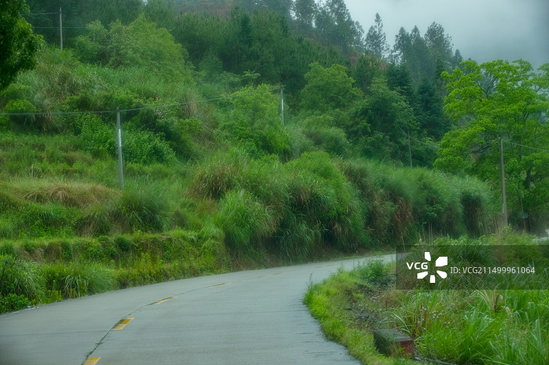 福建武夷山区825/826县道沿途风光图片素材