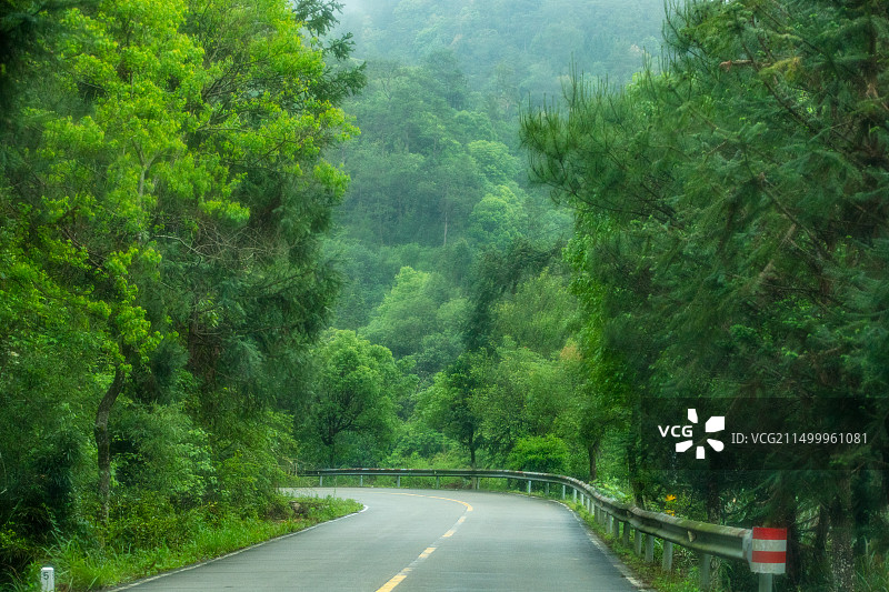福建武夷山区825/826县道沿途风光图片素材