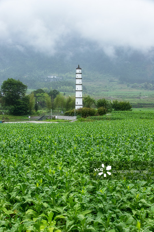 福建武夷山区825/826县道沿途风光图片素材