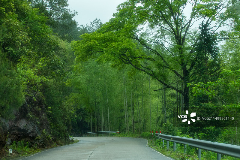 福建武夷山区825/826县道沿途风光图片素材