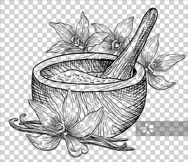手绘香草与研钵图片素材