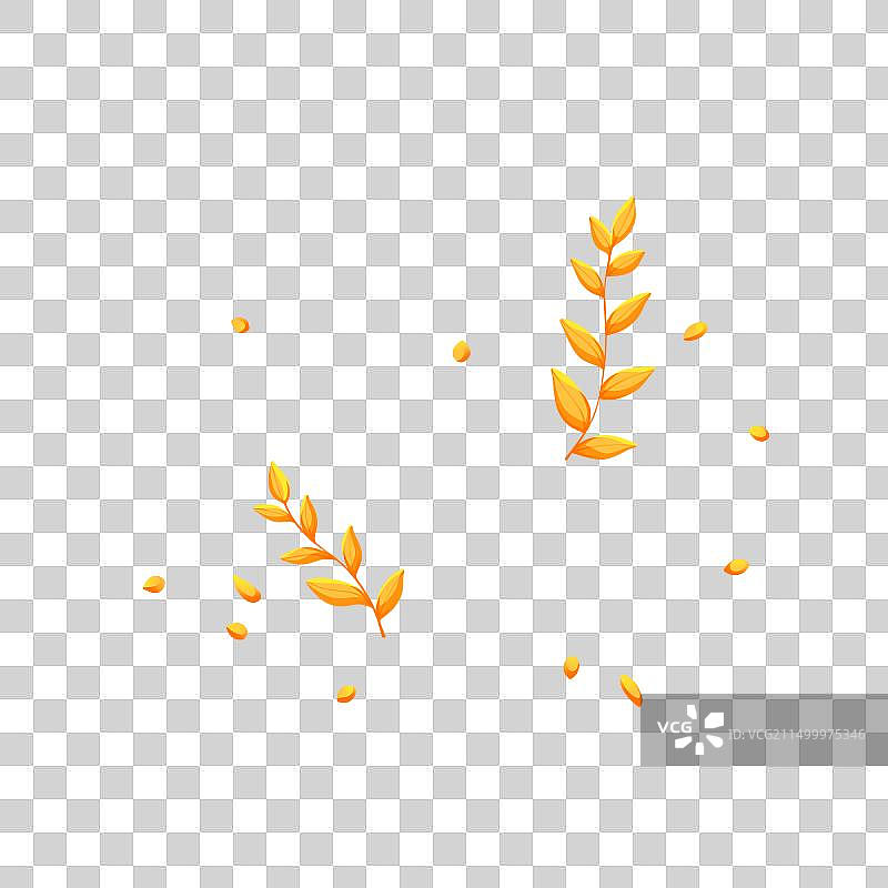 金色麦穗与麦粒，唯美清新系列素材图片素材