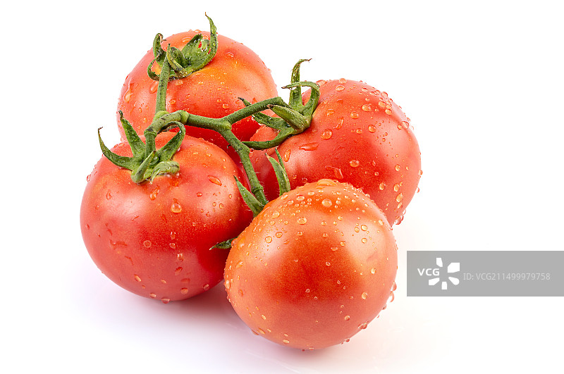 白色背景上的一串全景深西红柿图片素材