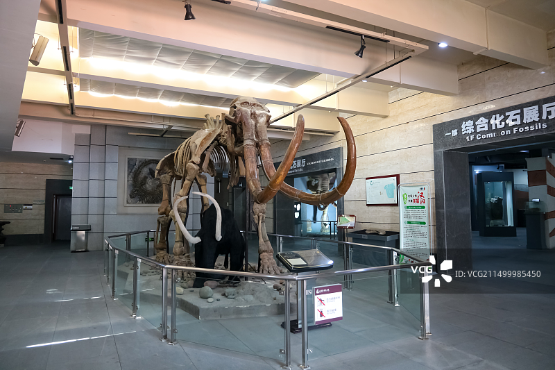 武汉中华奇石馆建筑外部馆内布局图片素材