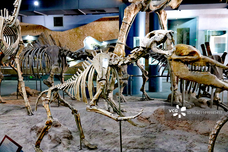 武汉中华奇石馆建筑外部馆内布局图片素材