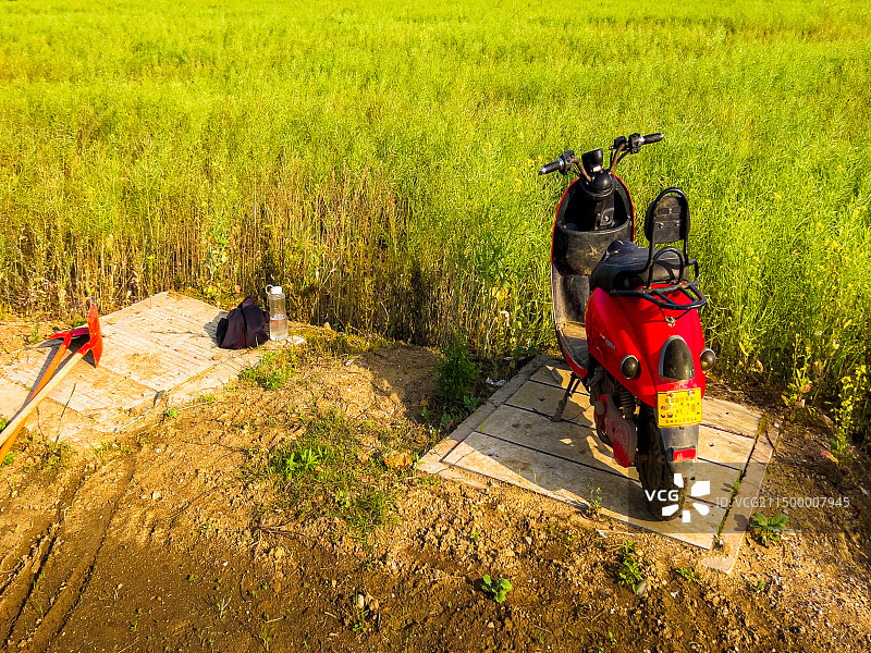 希望的田野图片素材