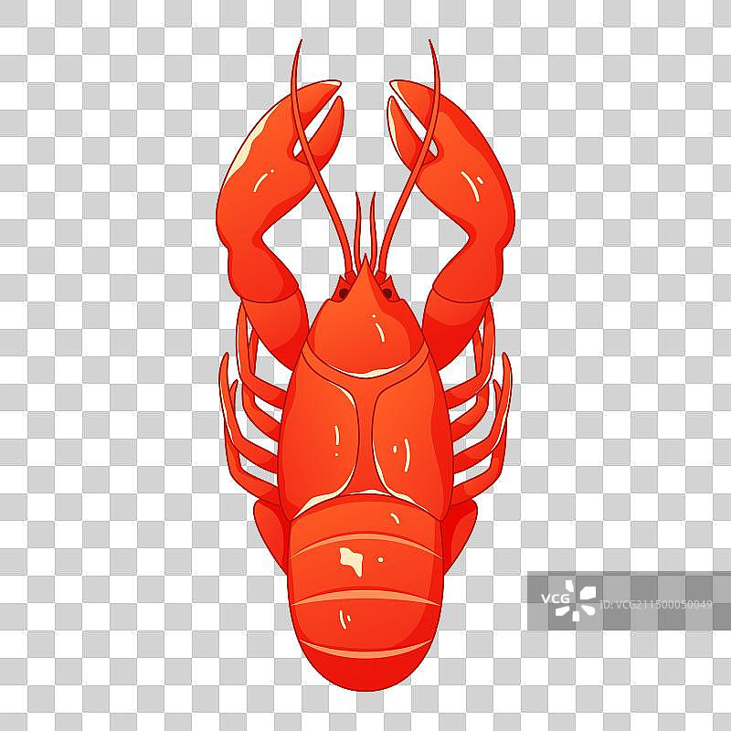 中国湖南传统特色美食一只小龙虾插画图片素材