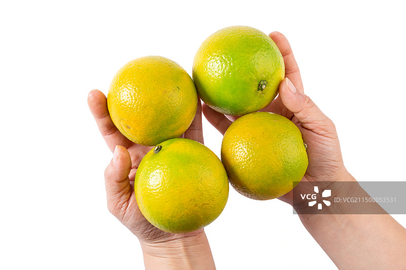 海南澄迈福橙琼中绿橙图片素材