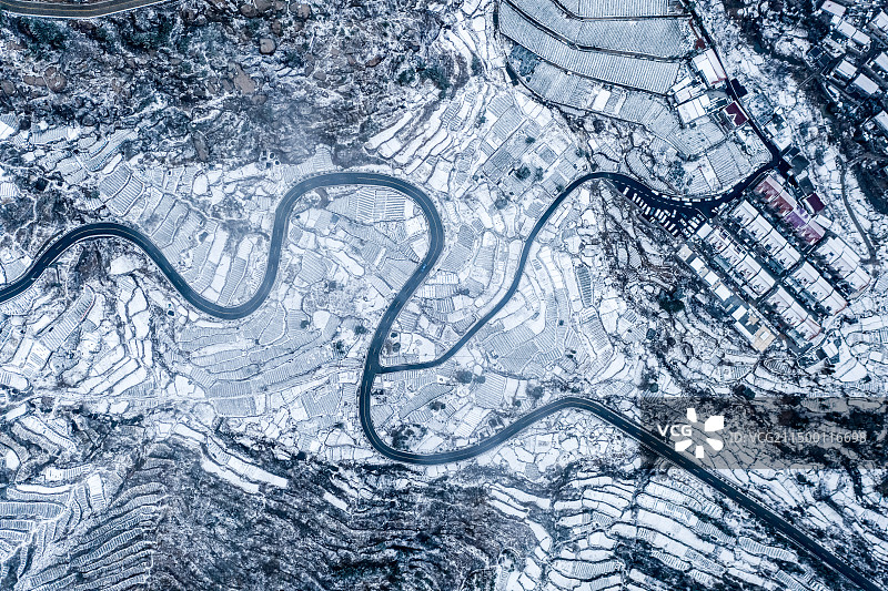 中国山东省青岛市崂山风景区青山村茶园图片素材