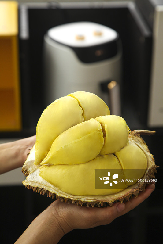 金枕头榴莲图片素材