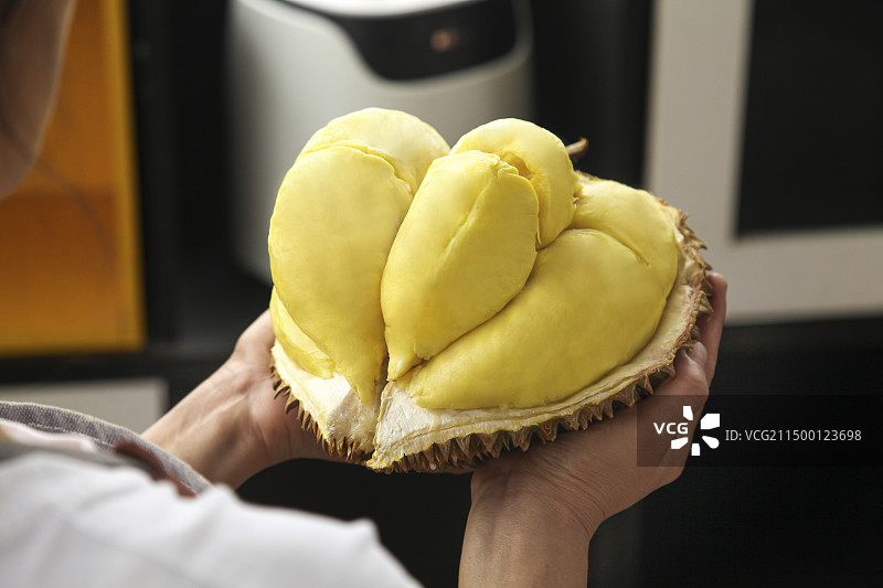 金枕头榴莲图片素材