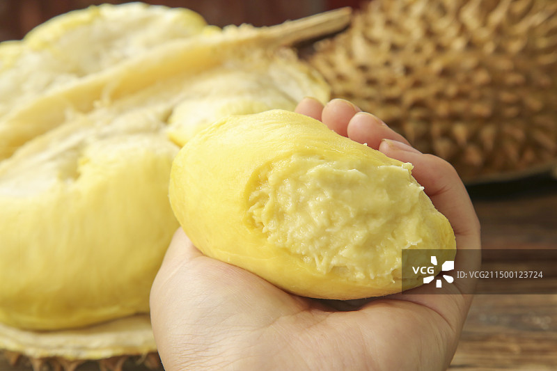 金枕头榴莲图片素材