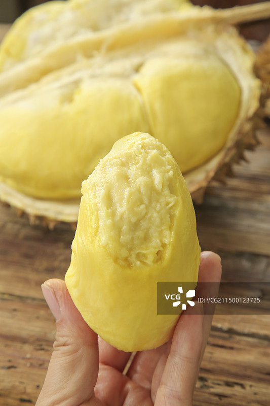 金枕头榴莲图片素材