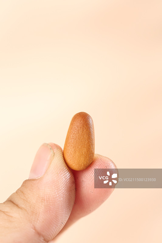 松子 松子仁图片素材