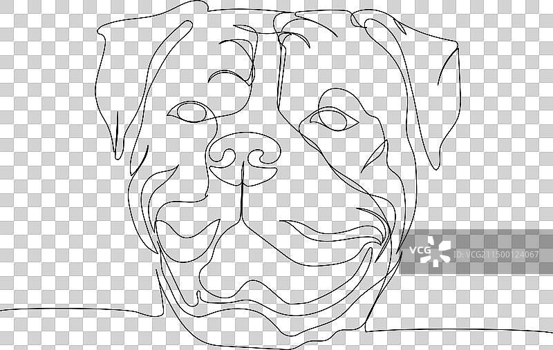 美国斗牛犬：伴侣犬和护卫犬图片素材