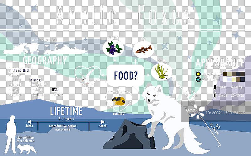 关于北极的教育海报图片素材