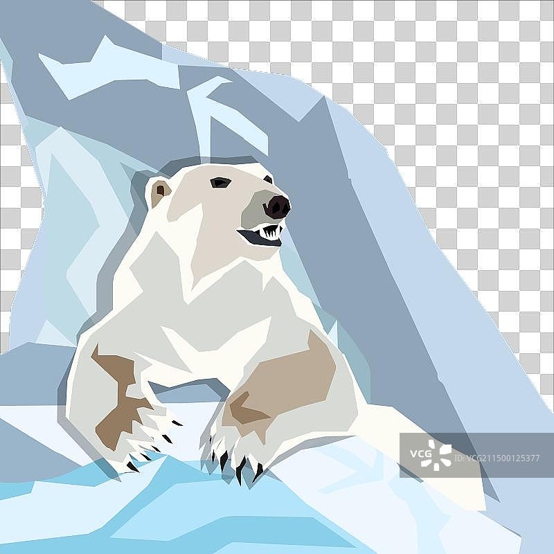 冰川背景下的北极熊图片素材