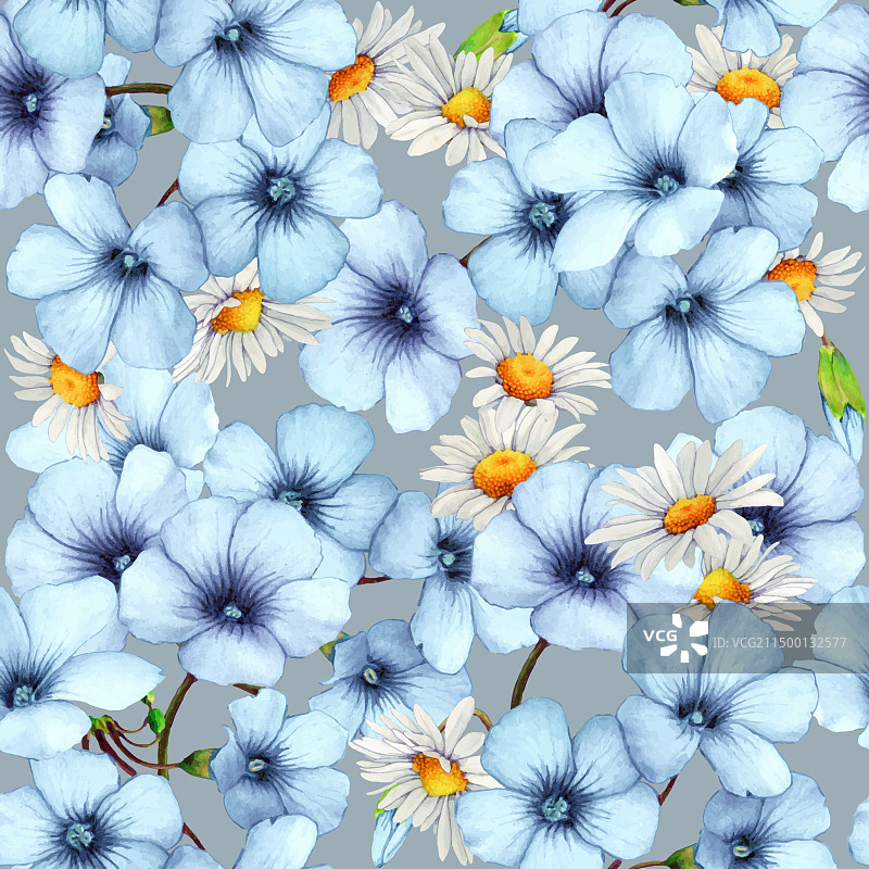 淡蓝色酢浆草和雏菊花朵图案图片素材