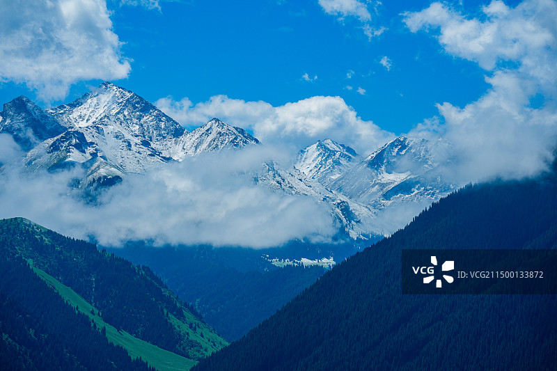 雪山云海森林蓝天白云图片素材