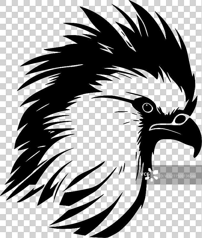 高品质的鹦鹉标志，适用于T恤图片素材