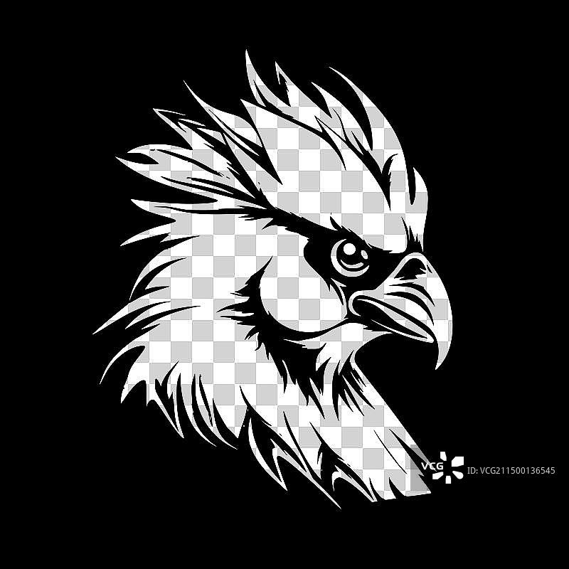 黑白鹦鹉图片素材