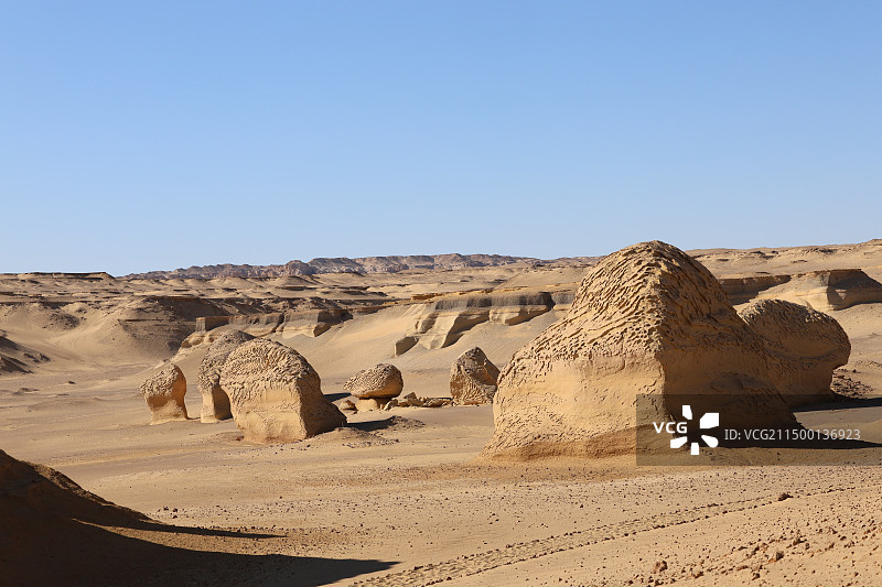 埃及鲸鱼谷图片素材