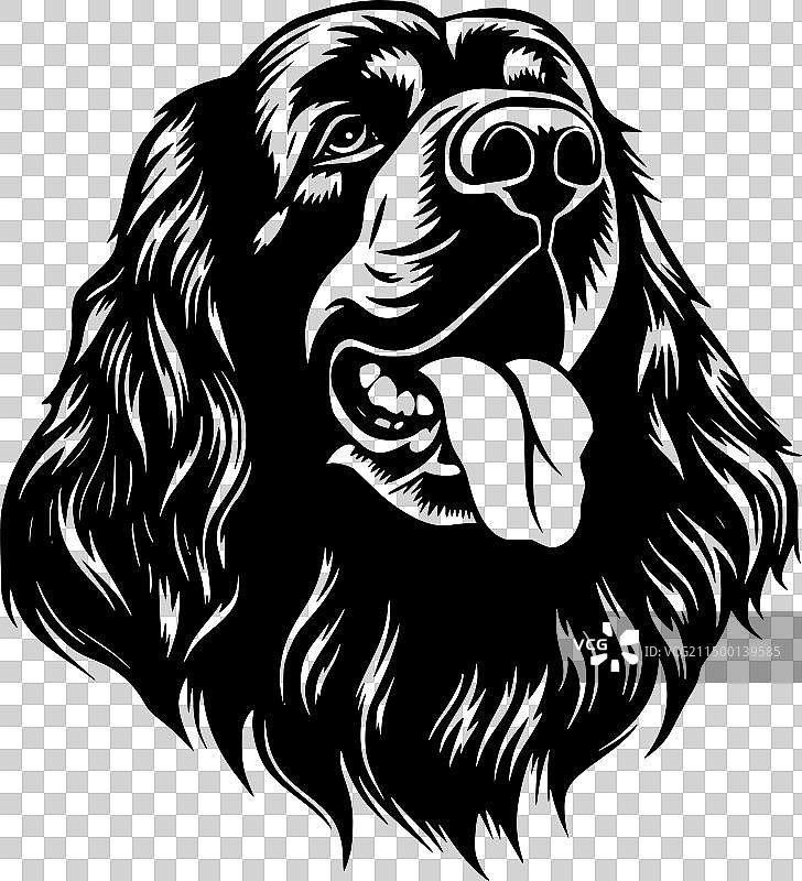 黑白色的里昂贝格犬图片素材