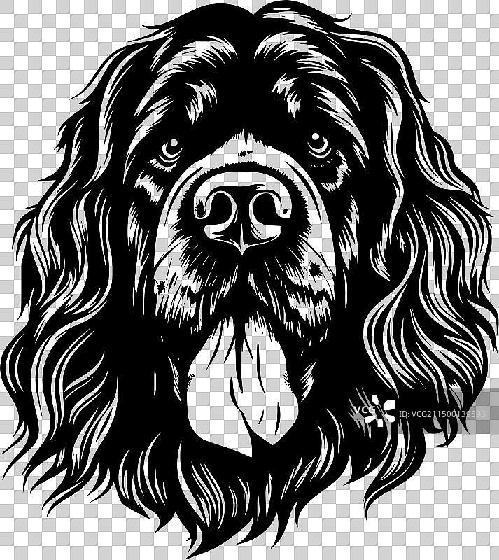 里昂贝格犬 - 简约剪影图片素材