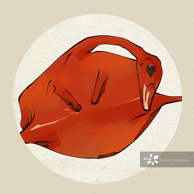 重庆白市驿板鸭重庆土特产美食插画图片素材