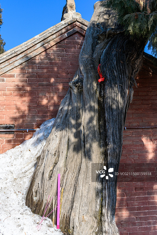 春节假期的山西古建临汾蒲县东岳庙图片素材