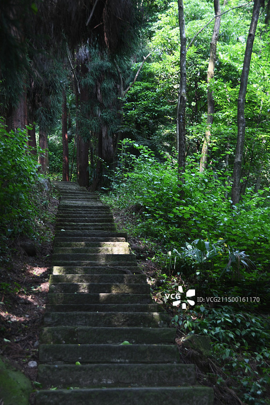 成都都江堰灵岩山步道图片素材