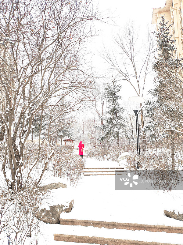 雪中丽人图片素材