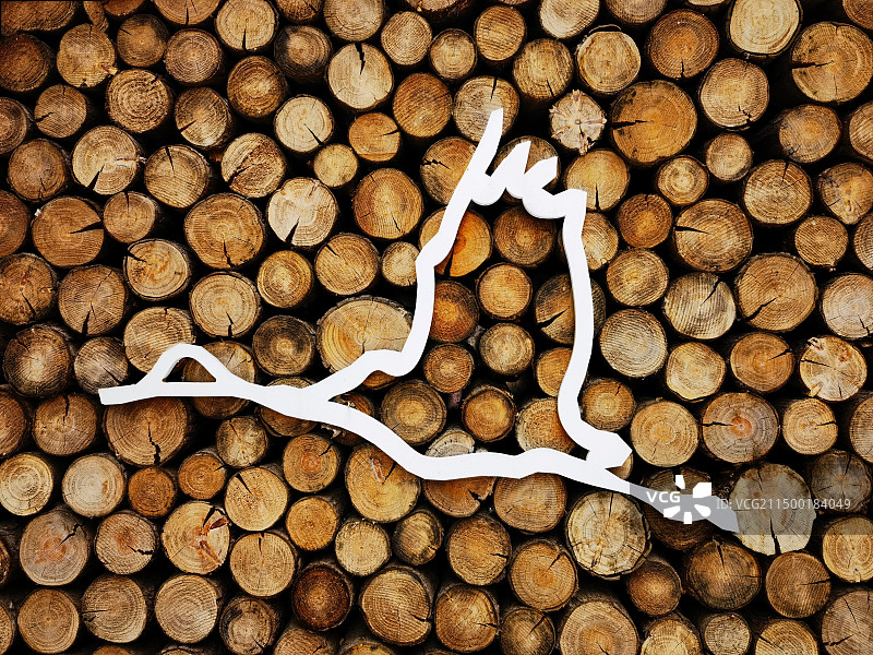 原木小景图片素材