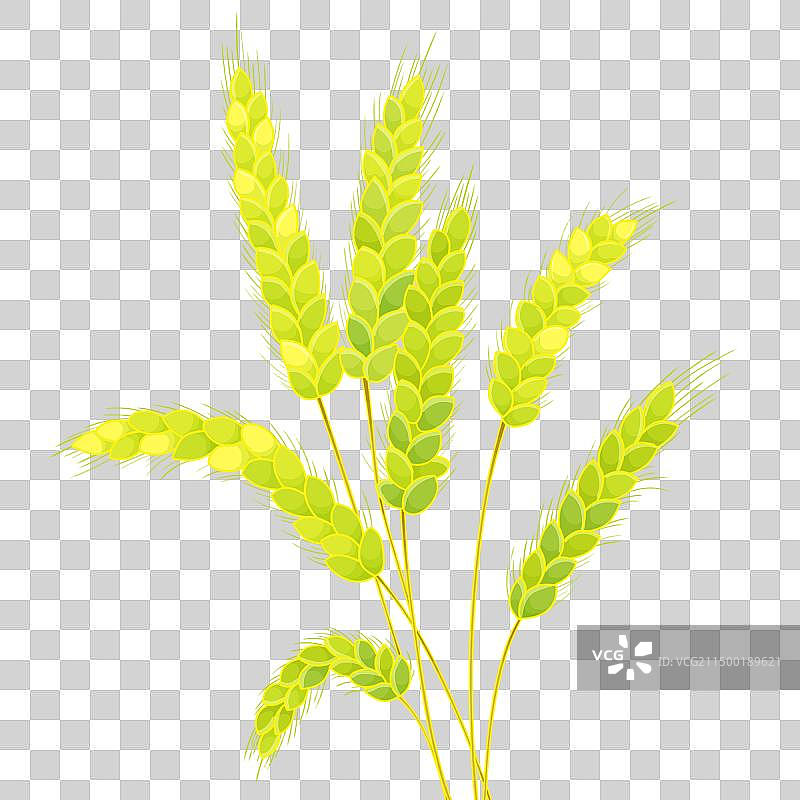 国潮风小麦麦穗图片素材