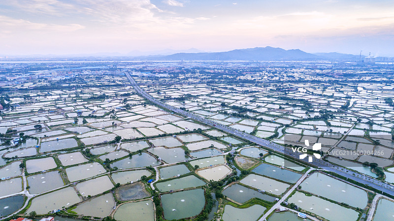佛山市桑园围渔业养殖基地图片素材