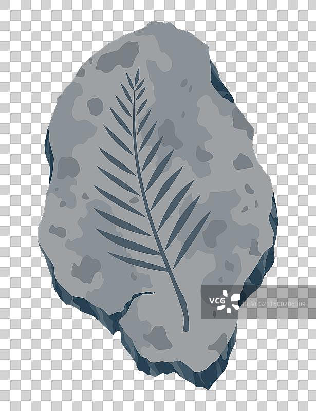 带有已灭绝生物印记的考古化石图片素材