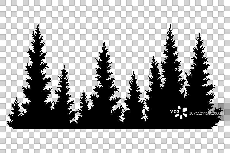 冷杉树剪影云杉水平构图图片素材
