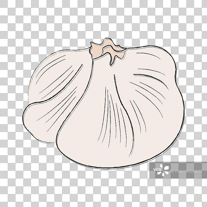 袋装的柔软新鲜自制白奶酪图片素材