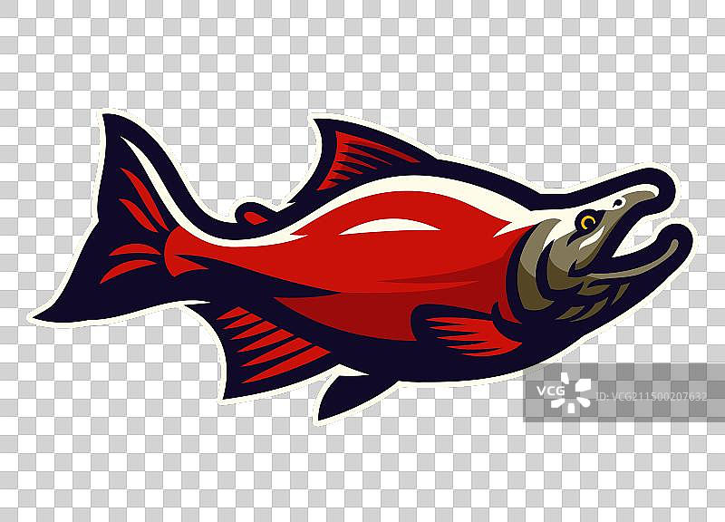 红大马哈鱼卡通图片素材