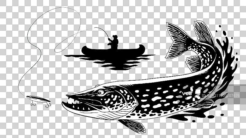 渔夫捕到一条大梭鱼图片素材