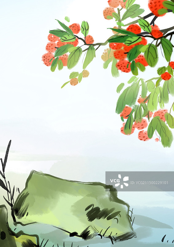 夏天，荔枝，树，水果，院子，背景，插画，风景图片素材