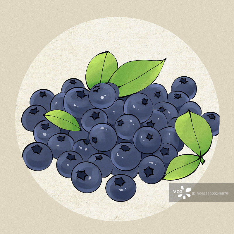 贵州美食-麻江蓝莓特产水果手绘插画图片素材