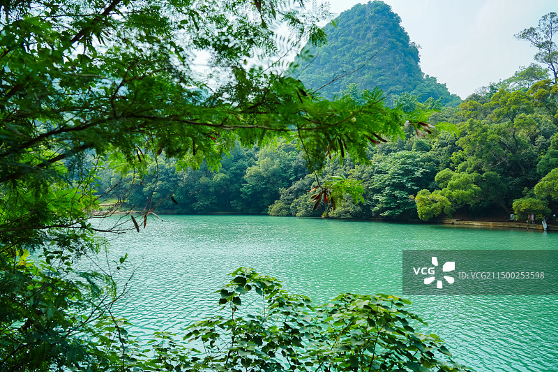 广西柳州市龙潭公园  大龙潭景区 喀斯特自然山水景观图片素材