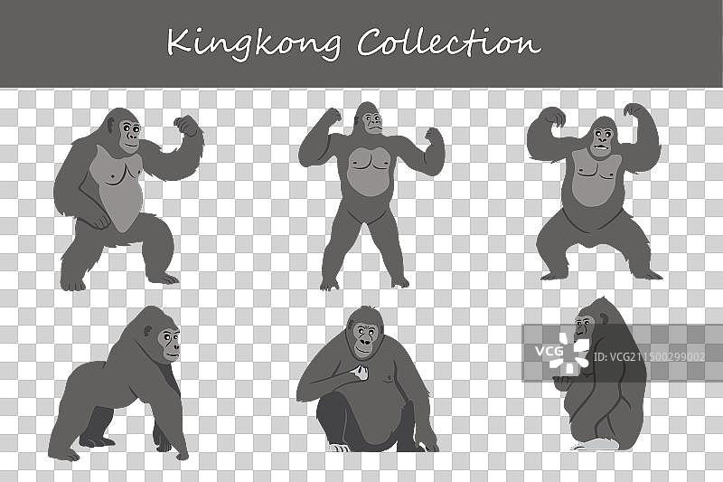 不同姿势的金刚合集图片素材