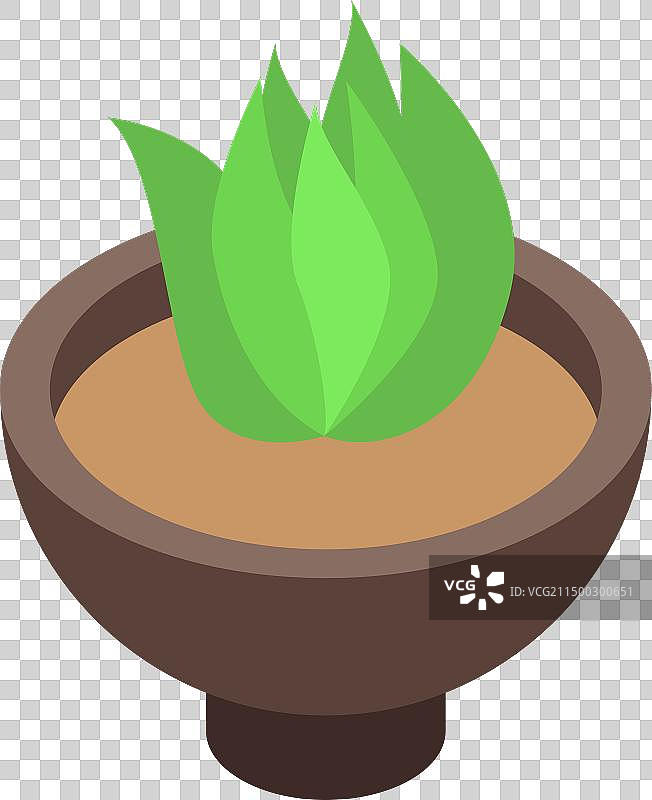 2.5D多肉植物盆栽图标图片素材